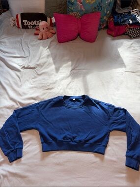 Cropped Crewneck Sweatshirt - Blue